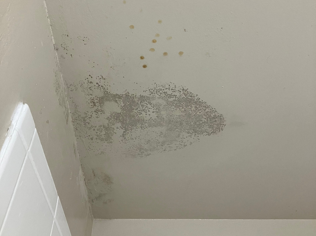 Quality Inn & Suites主图