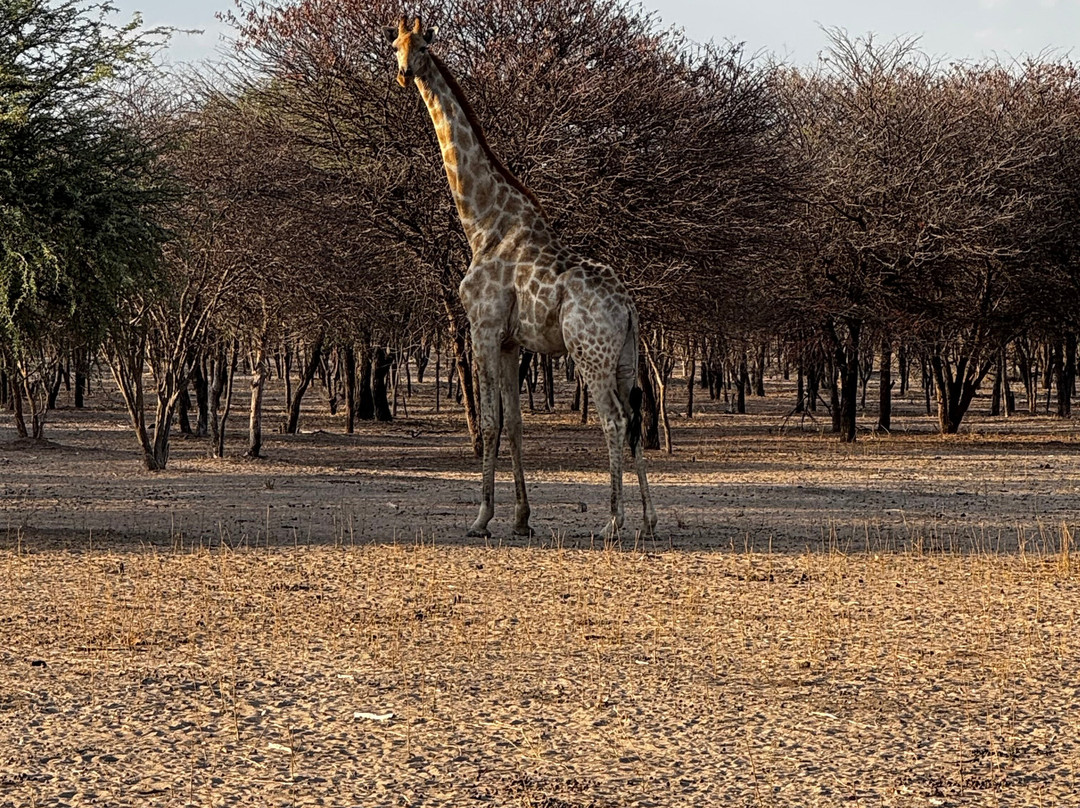 Wildacker Guestfarm主图