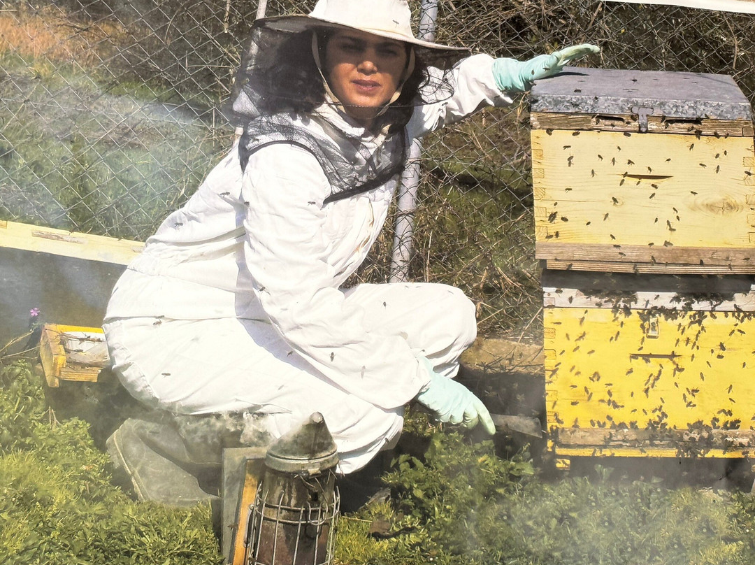 Klio's Honey Farm-奥林匹亚必去景点