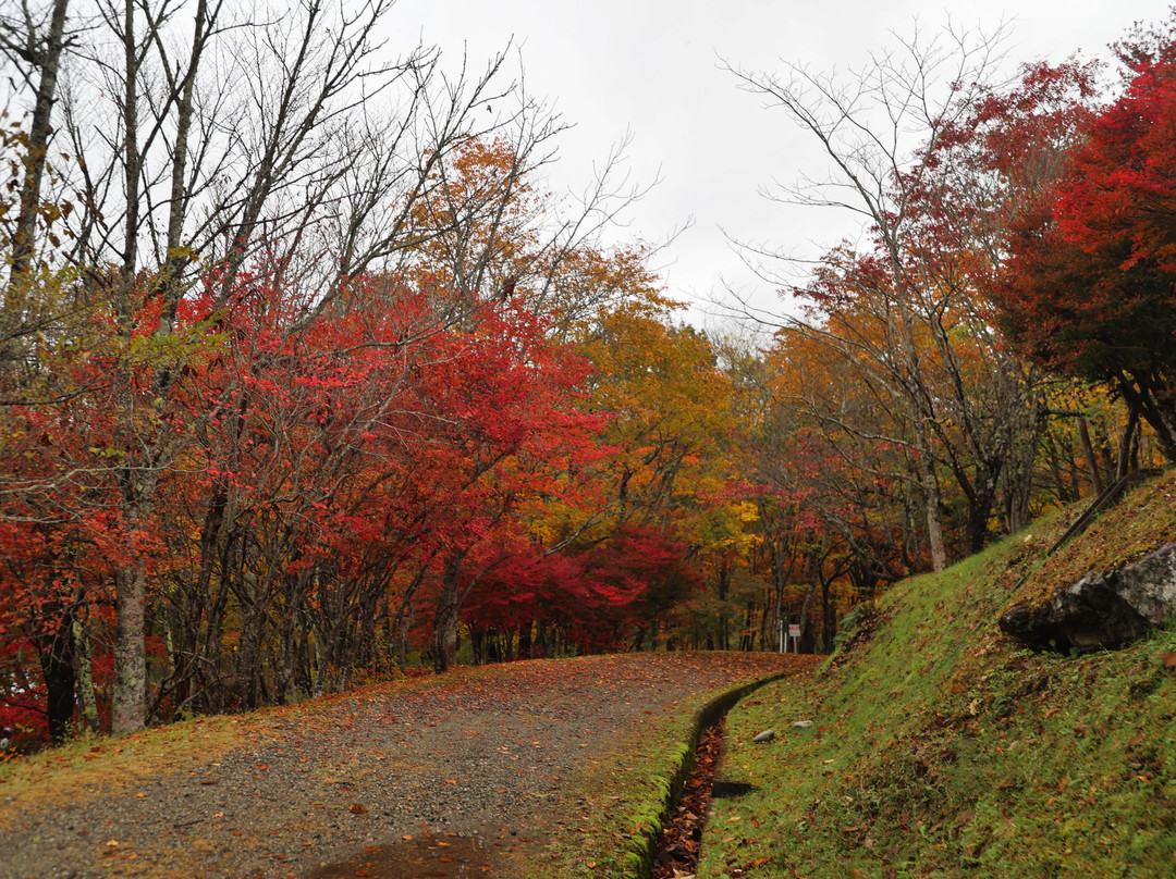 Kannonnuma Forest Park景点图片