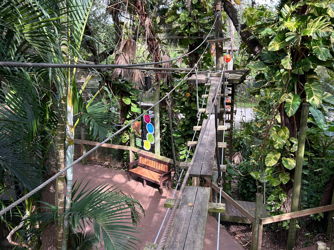Treetop Trek景点图片