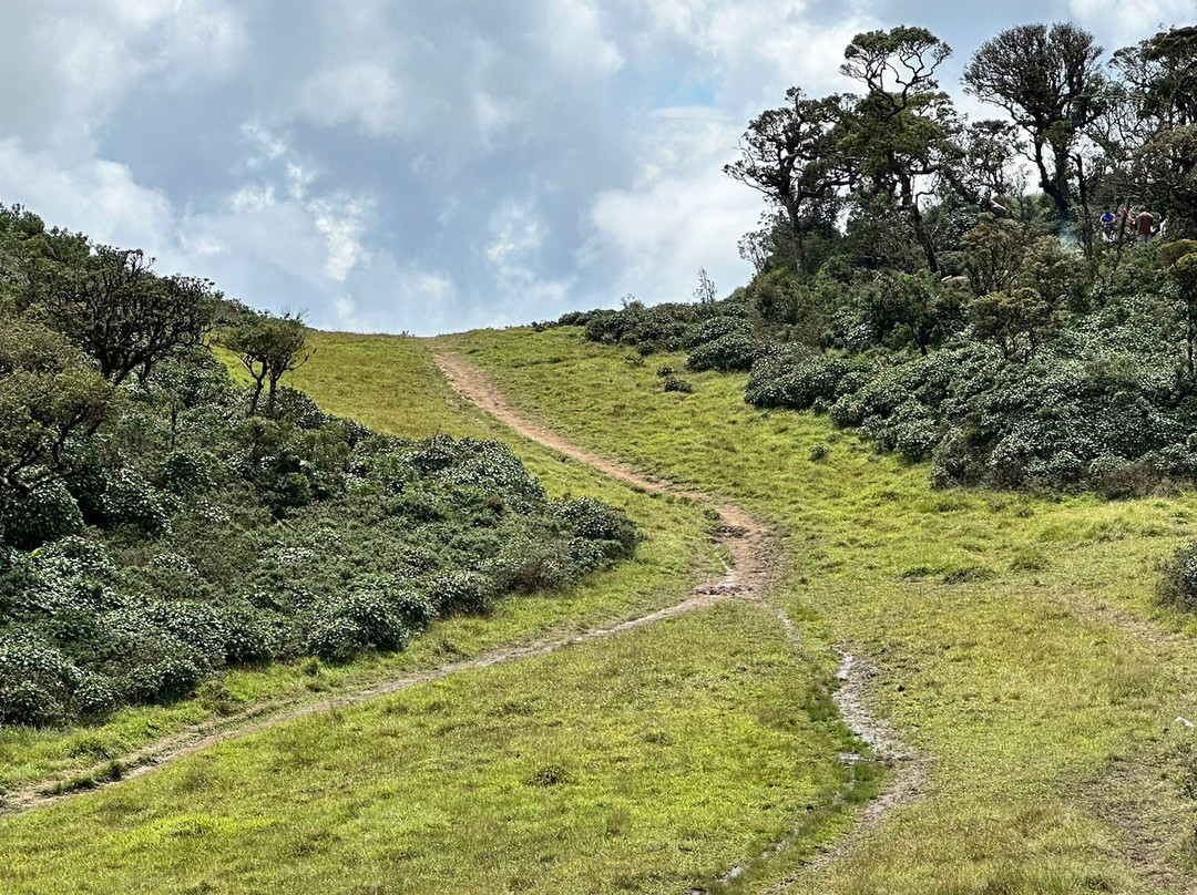 Chariot Path Kandy景点图片