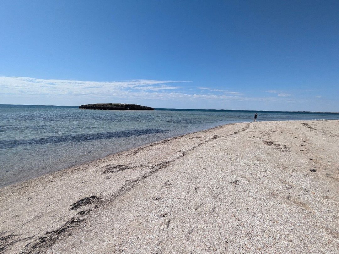 Islands Caravan Park-Streaky Bay必去景点
