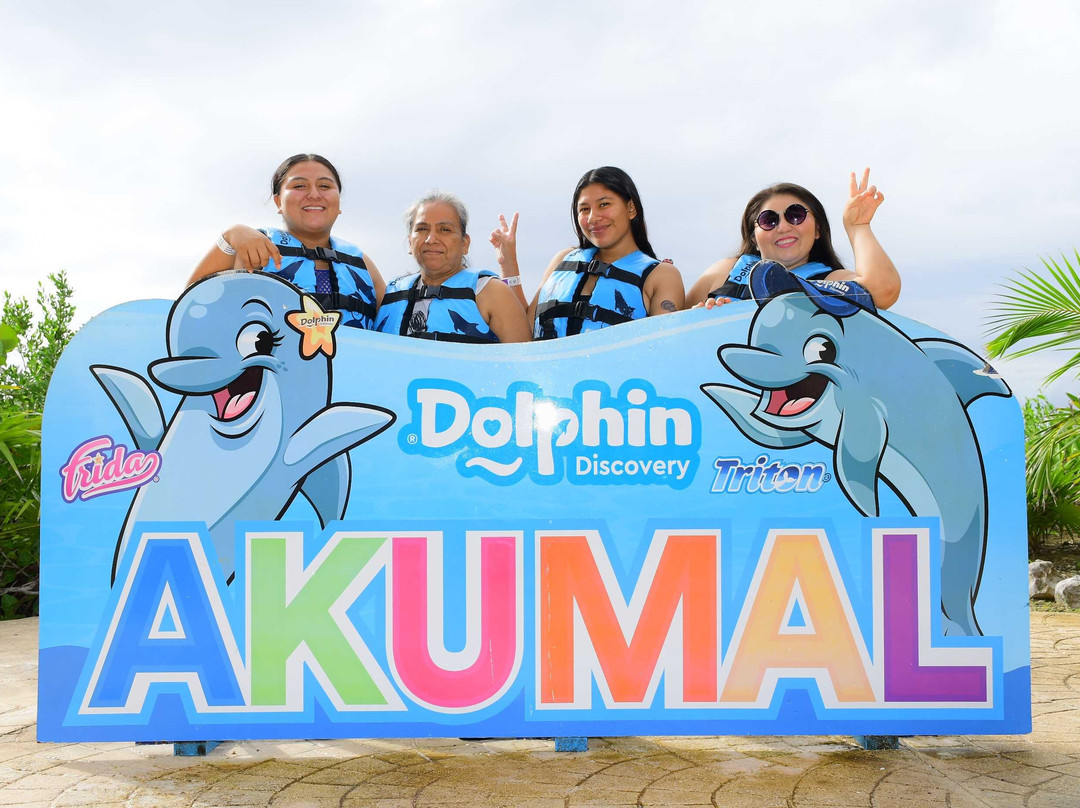 Dolphin Discovery Tulum - Akumal景点图片