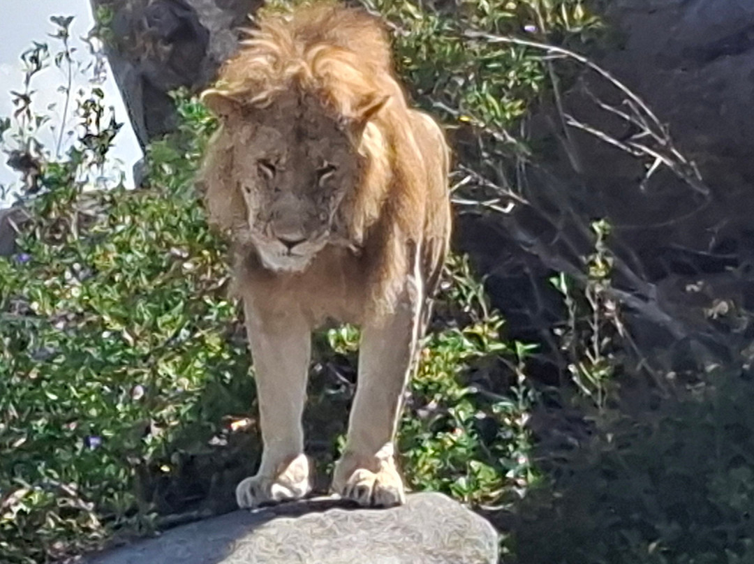 Zac Tac Adventures Tours & Safaris-Usa River必去景点