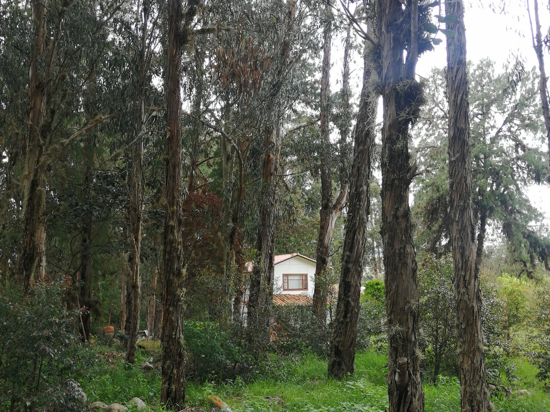 Casa De Los Fundadores主图