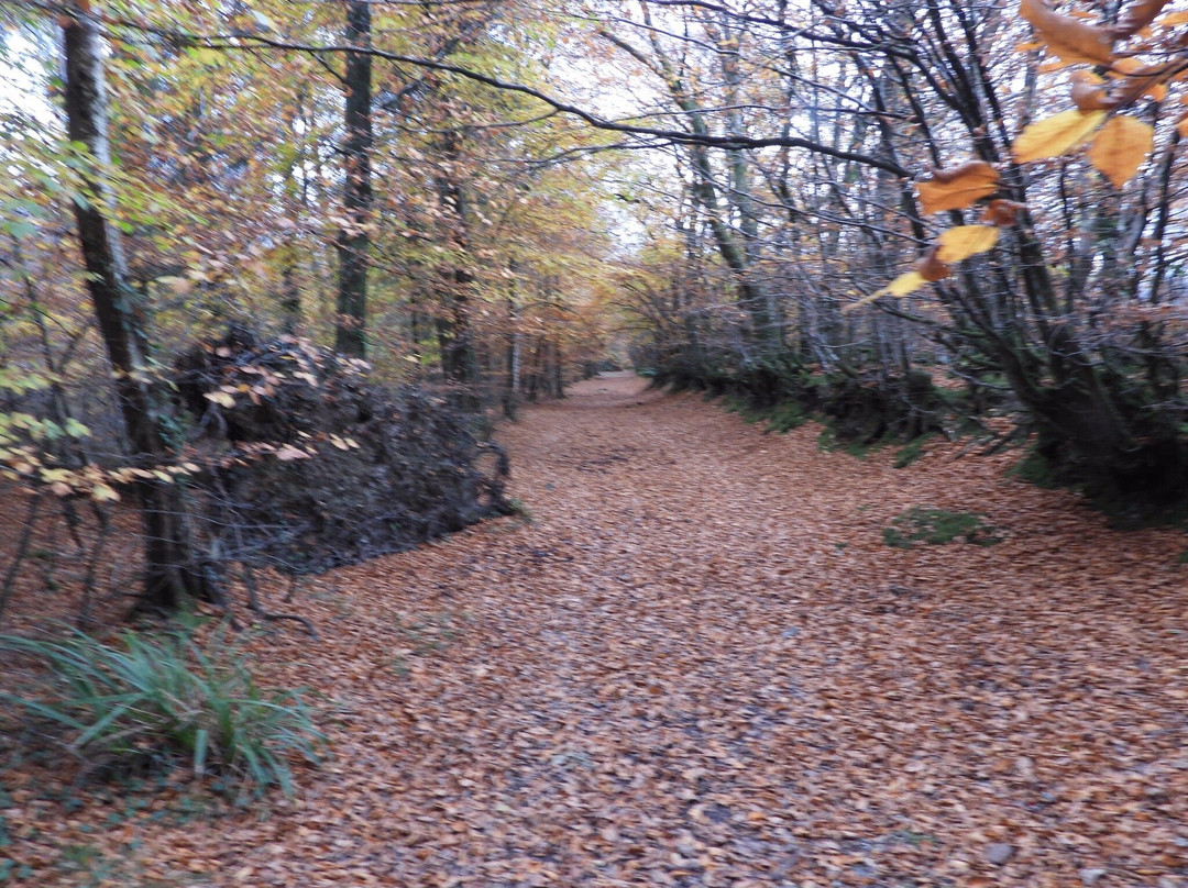 Sidmouth - Valley, Ridge and Jurassic Coast walk-西德茅斯必去景点