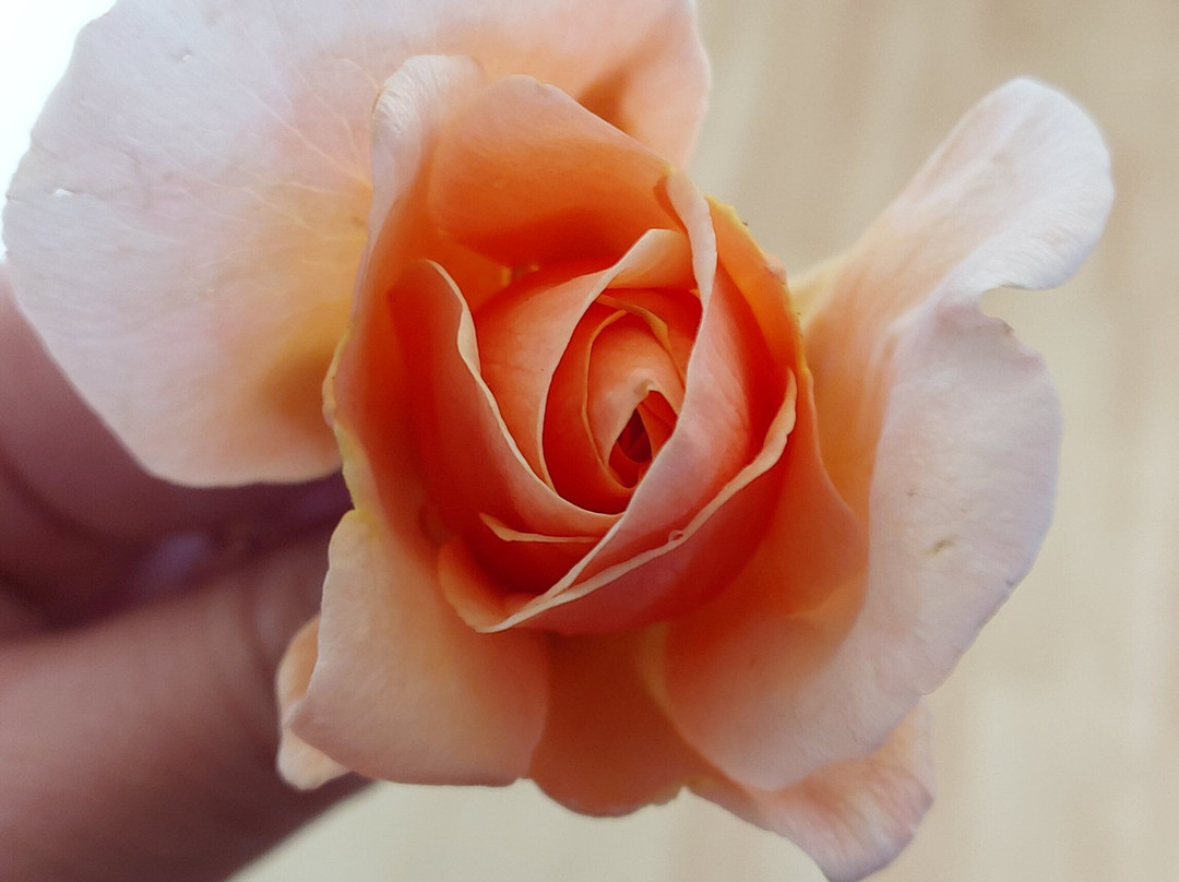 Admirals Landing Bed & Breakfast主图