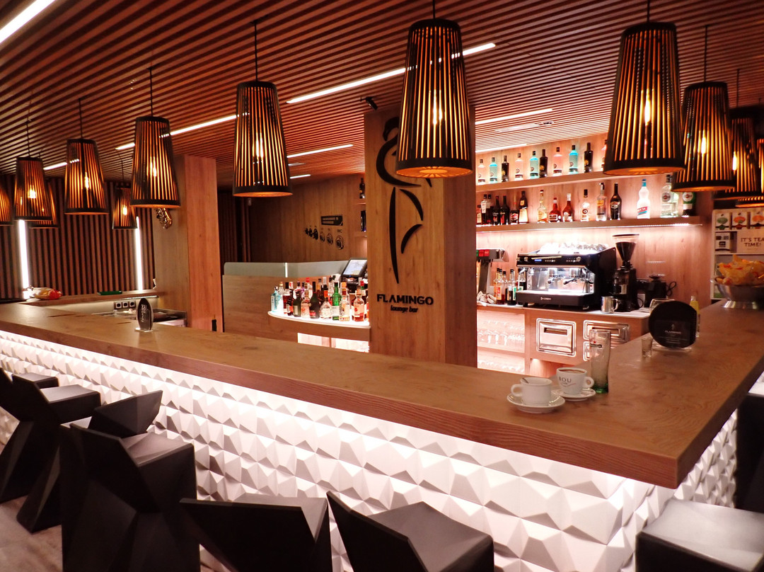 Hotel Checkin Flamingo主图