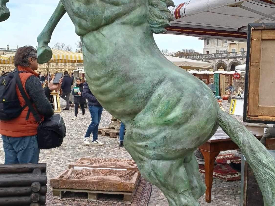 Mercatini dell' Antiquariato e Modernariato景点图片