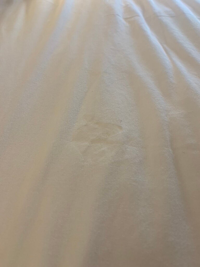 Hampton Inn Tuscaloosa-University-客卧