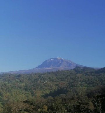 Kill Summit Tours-莫西必去景点