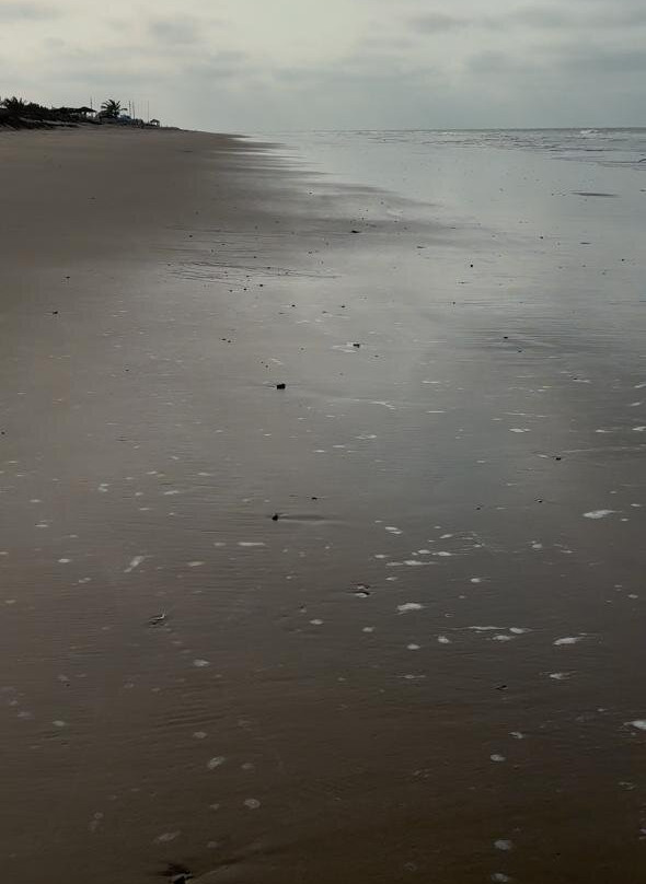 General Villamil Beach-Data de Villamil必去景点