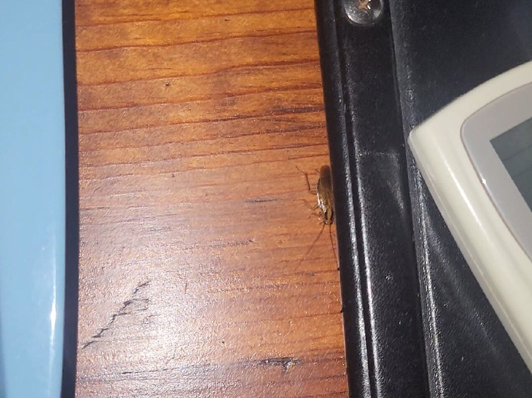 Citrusdal Country Lodge主图