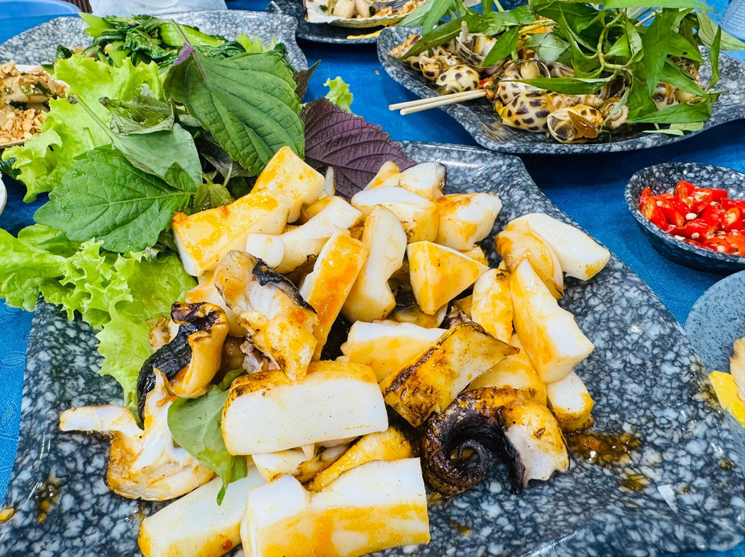 Ốc Biển Tự Nhiên