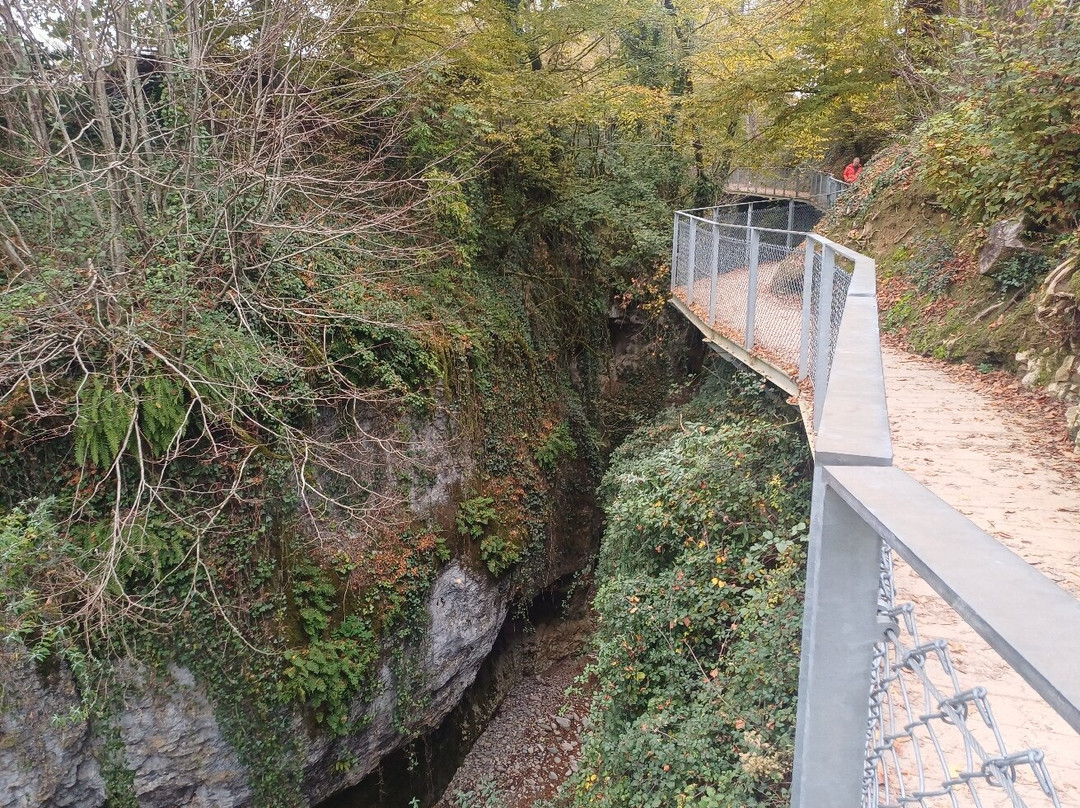 Gorges Du Sierroz景点图片