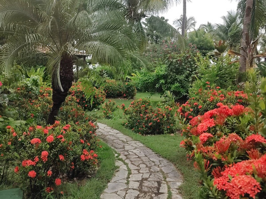 Hotel Casablanca主图