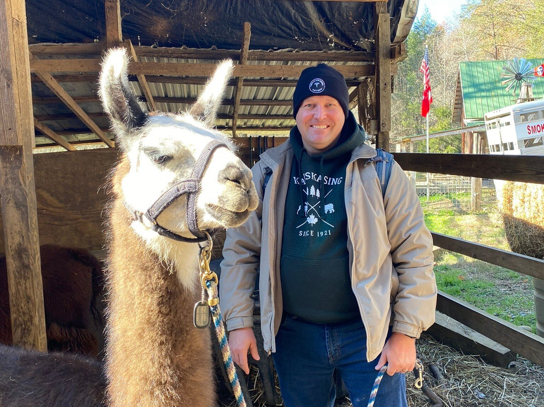 Smoky Mountain Llama Treks景点图片
