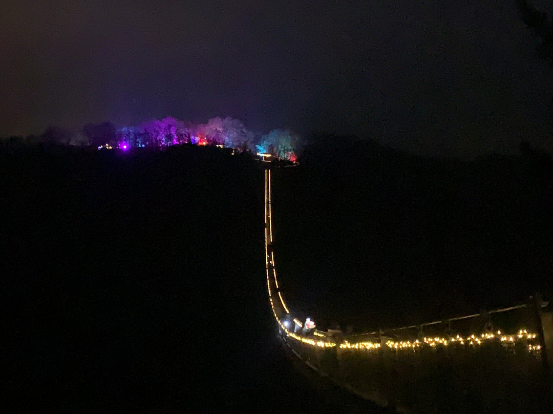 Hangeseilbrucke Geierlay-Moersdorf必去景点