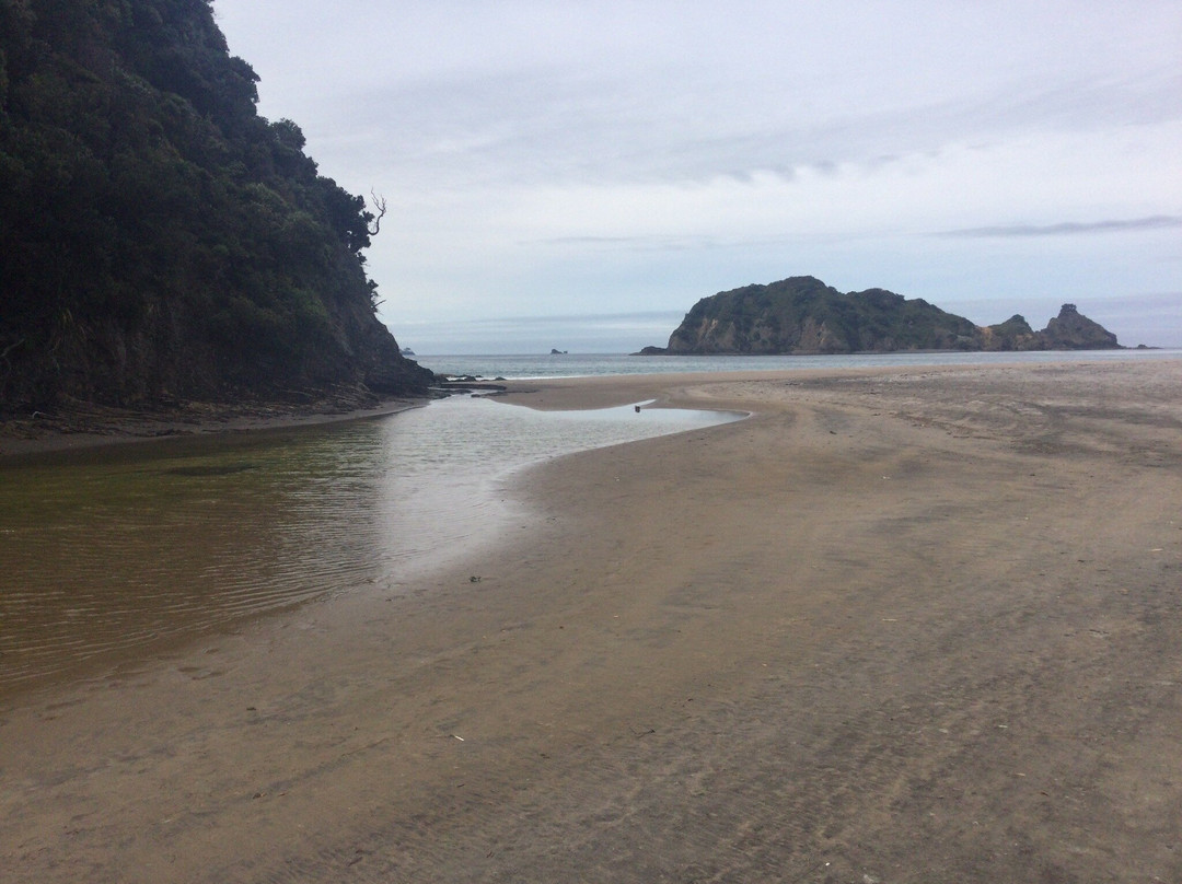 Aotea Track景点图片