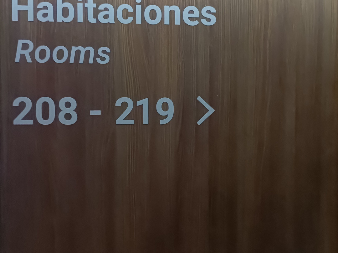 伦纳萨酒店主图