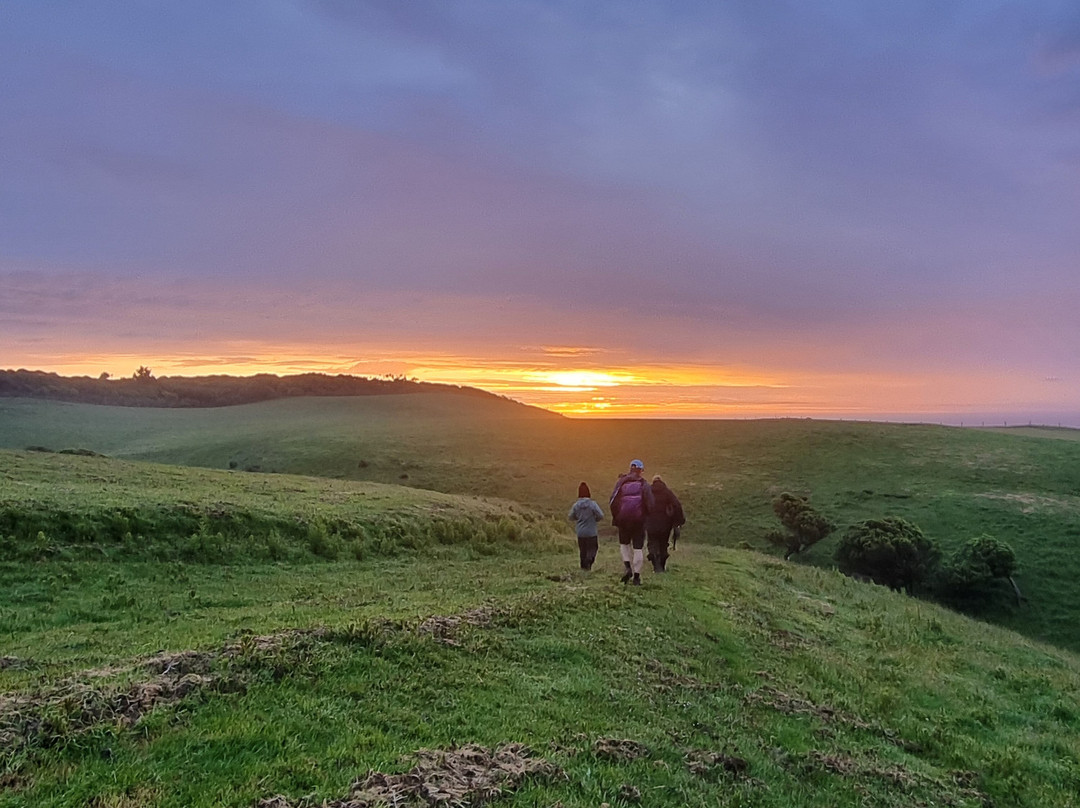 Catlins Tours景点图片