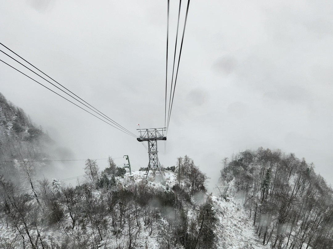 Vogel Cable Car景点图片