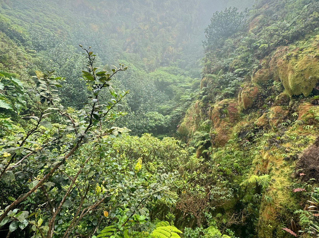 Symbiose Caraibes-Saint-Claude必去景点