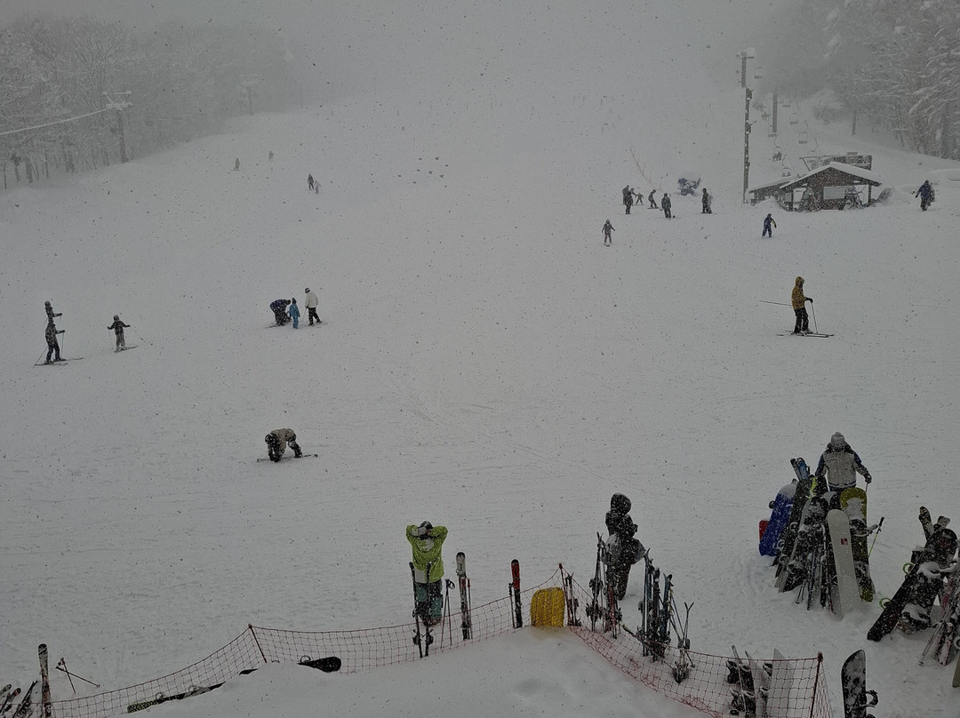 Jigatake Snow Resort景点图片