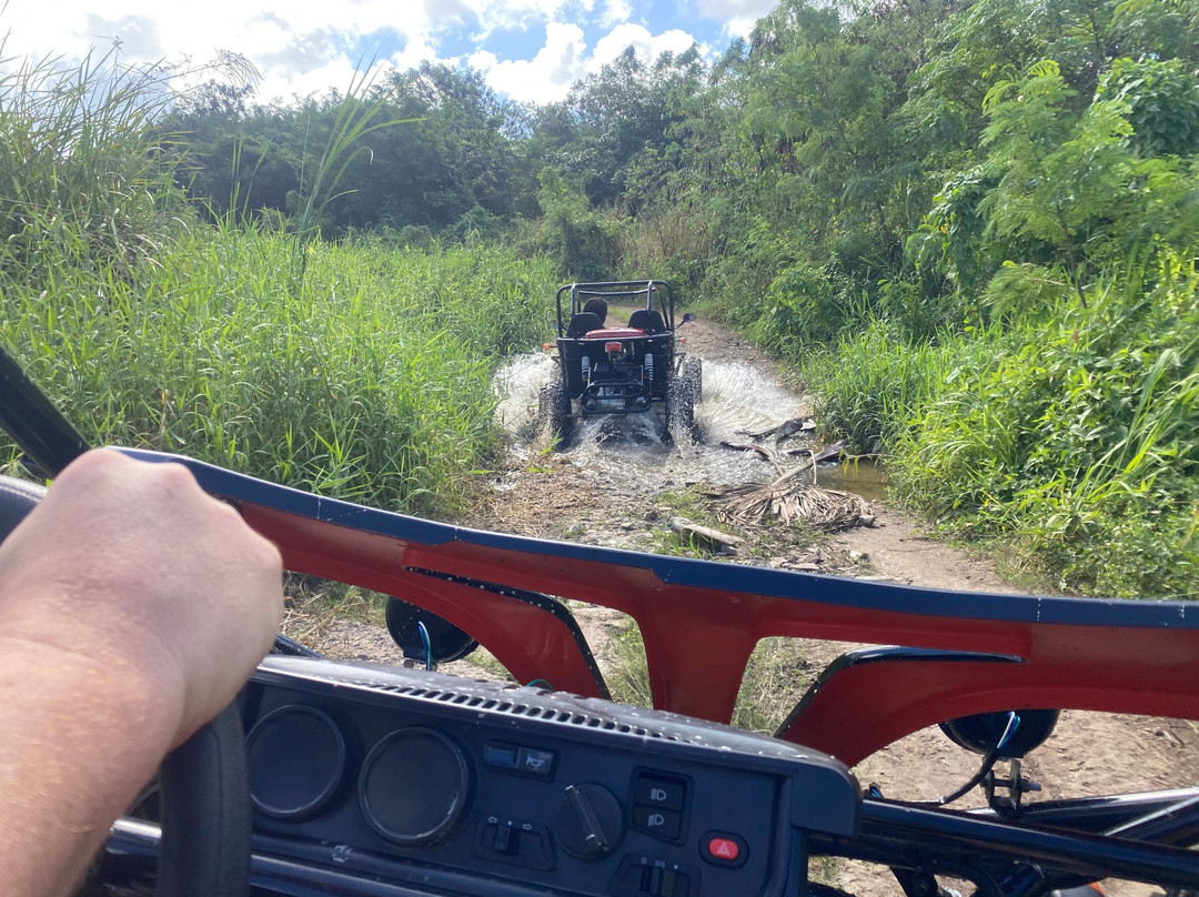 268 Buggies-Jennings必去景点