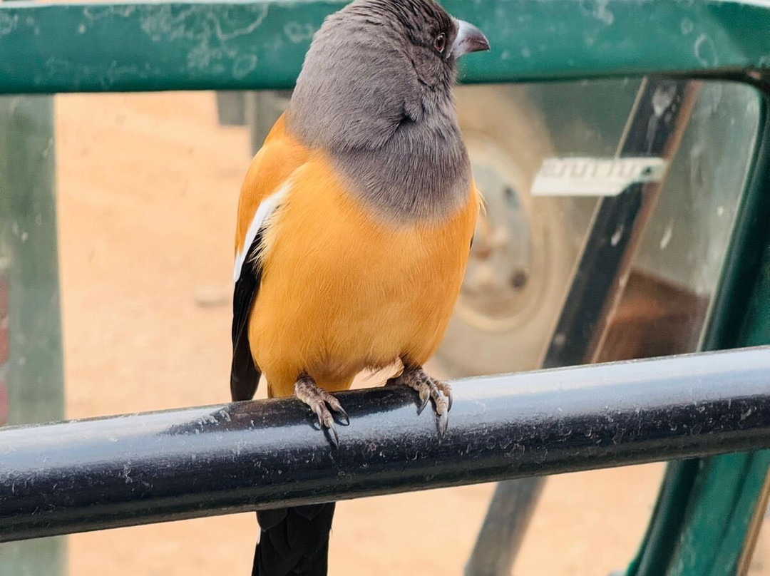 Fragrance of Taj Tours-阿格拉必去景点