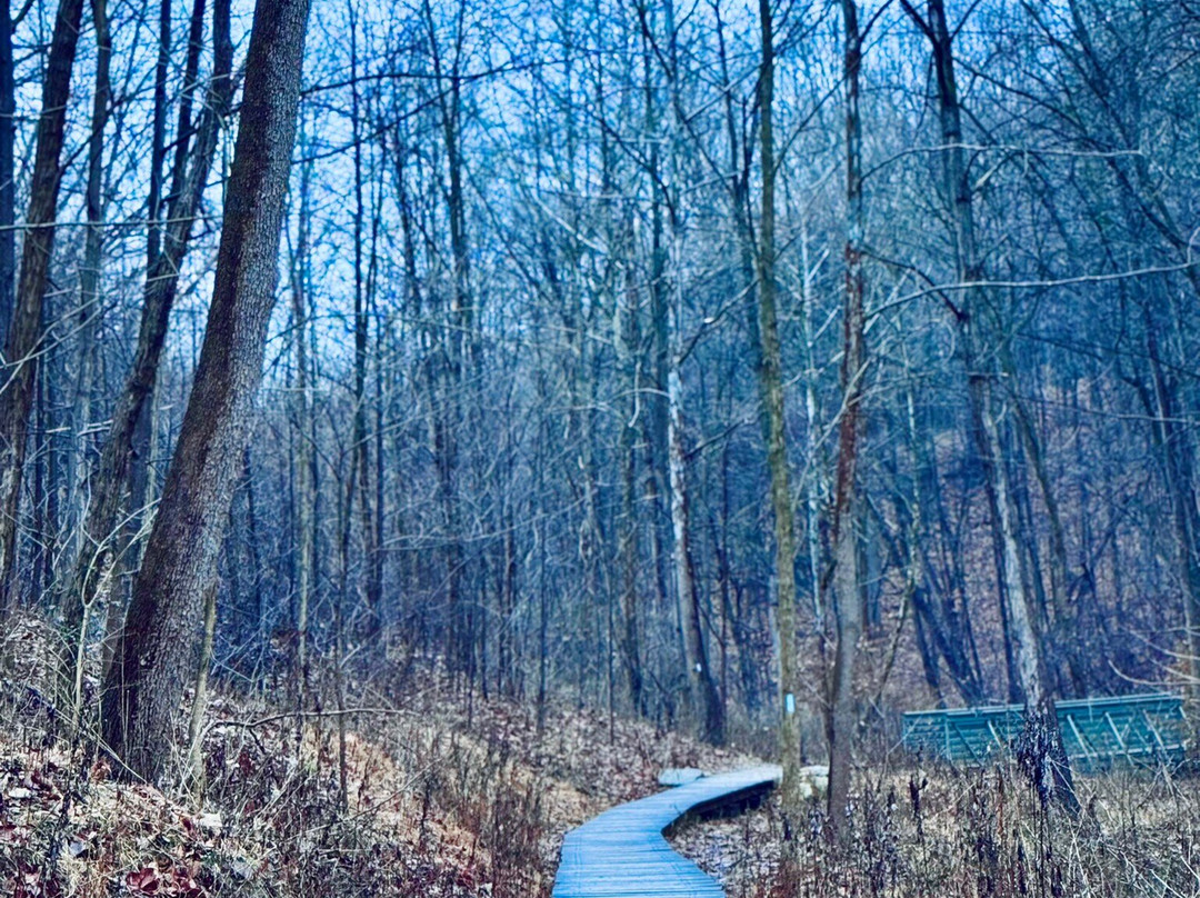 Blue Hen Falls-Brecksville必去景点