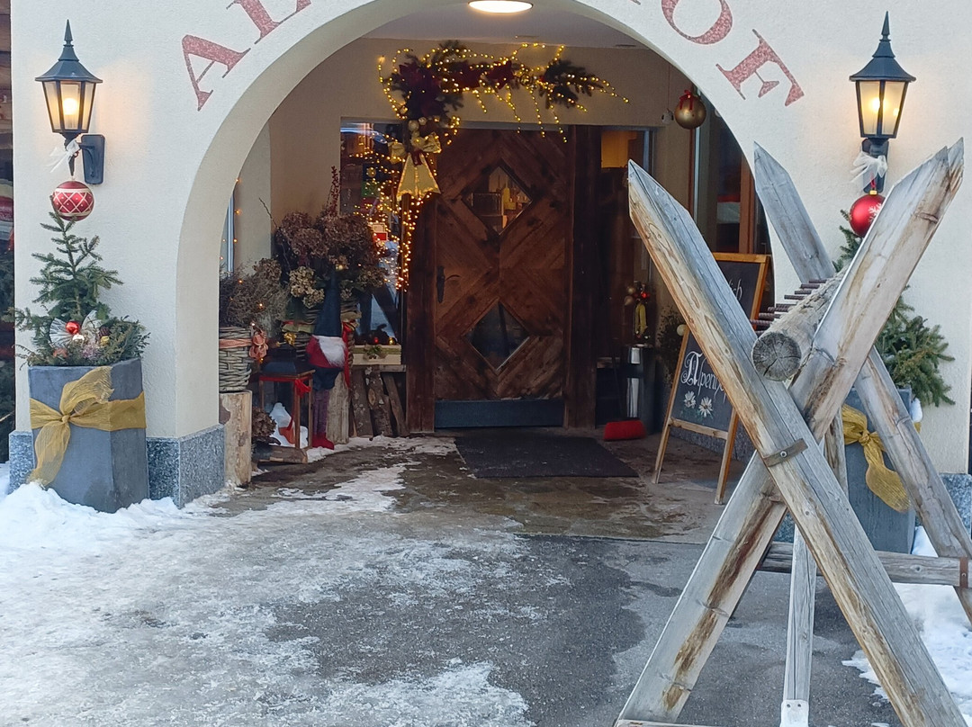 Hotel Alpenhof主图
