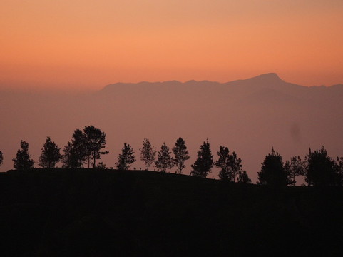 Ceylon Fun Tours-卡图纳耶克必去景点