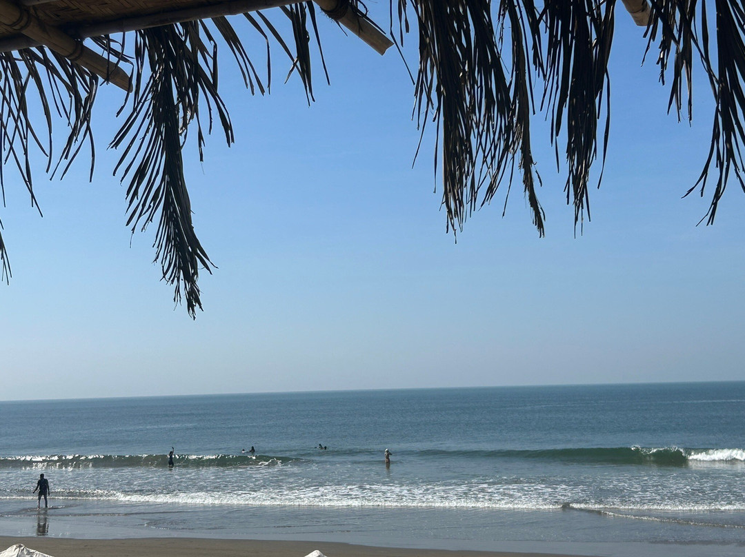 Octopus Surf School Goa-Morjim必去景点