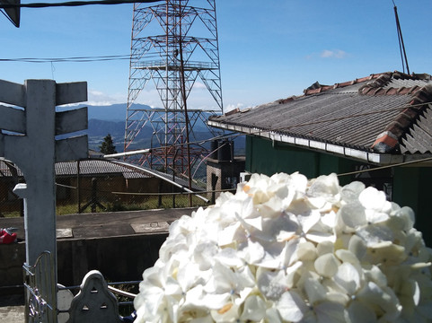 Pidurutalagala-奴娃拉伊利雅必去景点