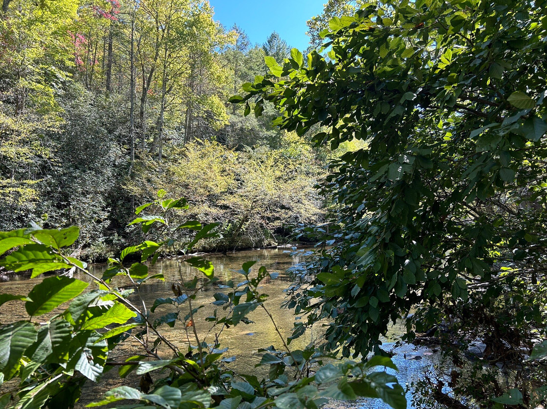 Roaring Fork Motor Nature Trail景点图片