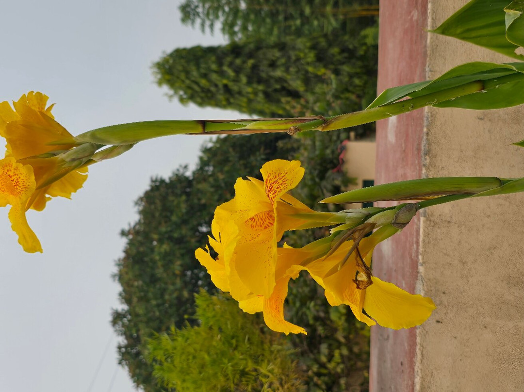 奥尔恰度假村主图