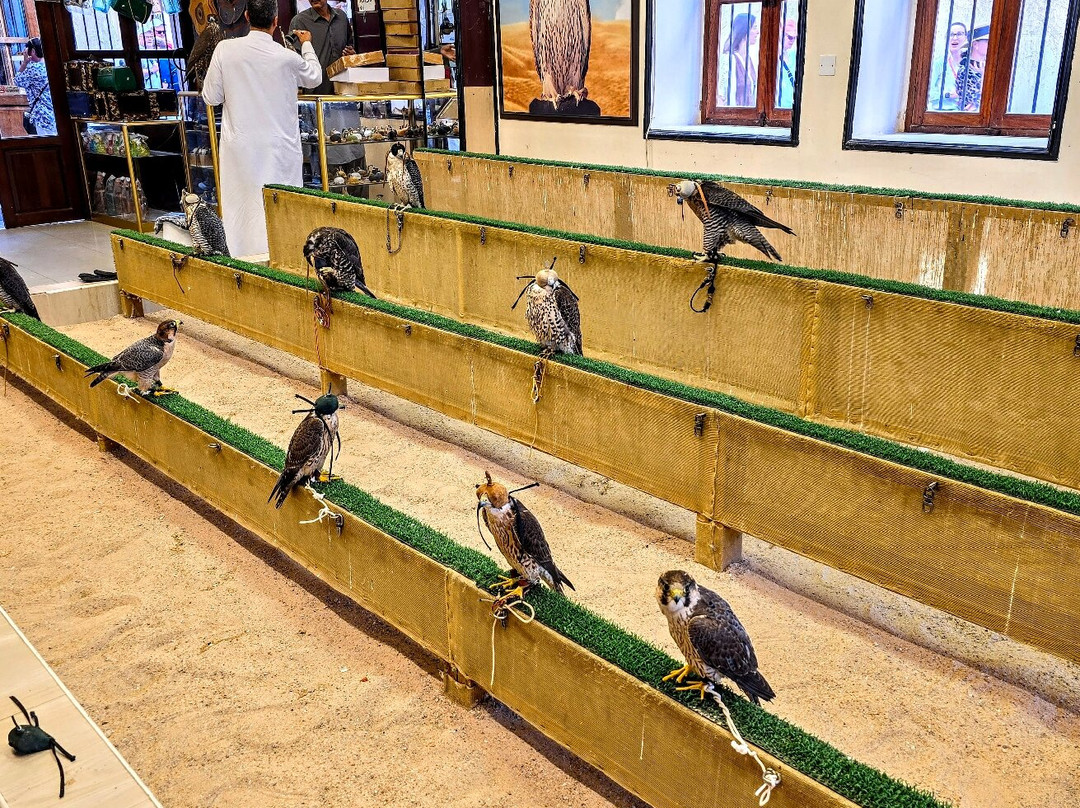 2025年2月Souq Waqif Falcon Hospital景点攻略-Souq Waqif Falcon Hospital门票预订|地址 ...