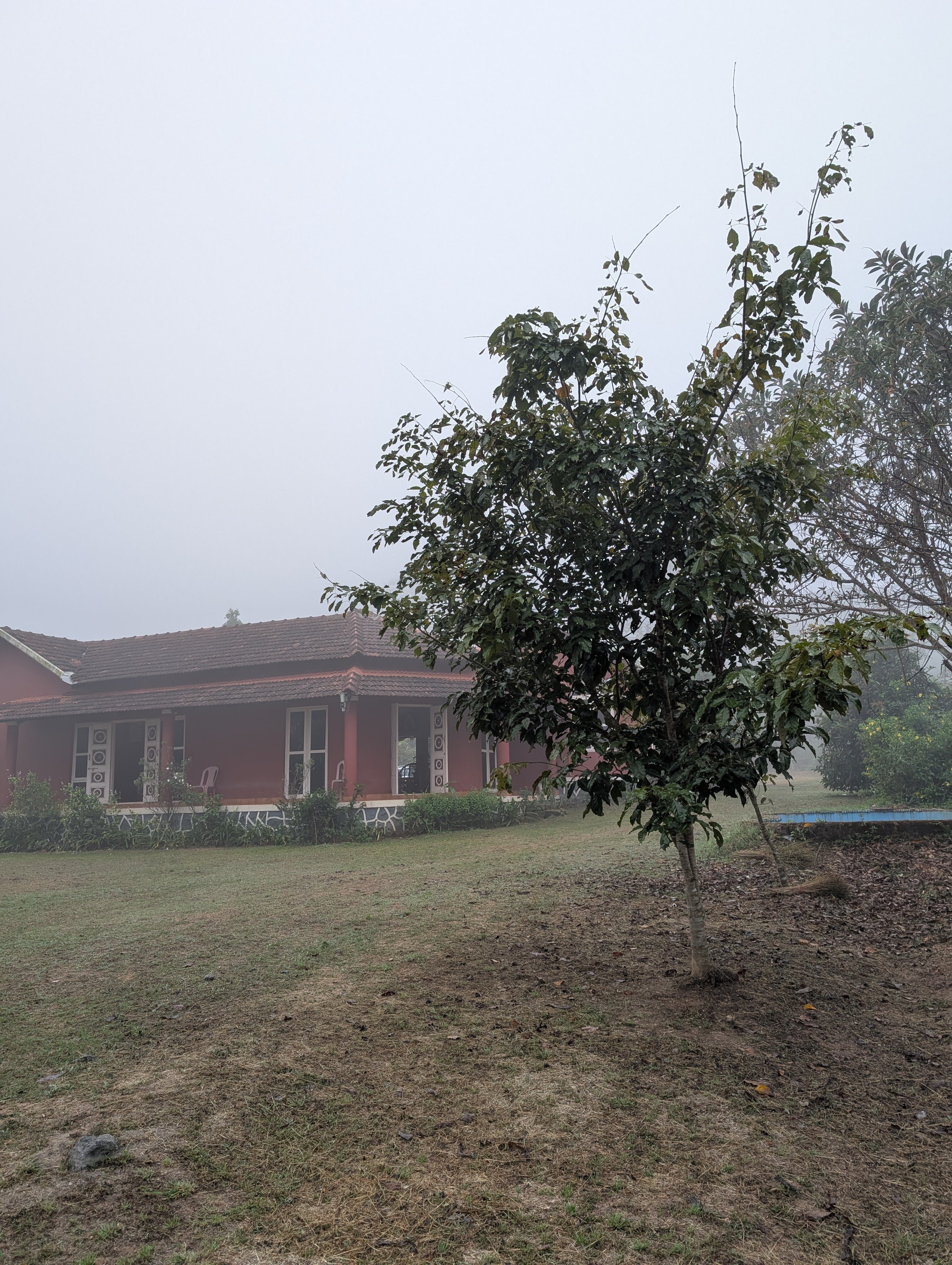 Dandeli Chalet-官方