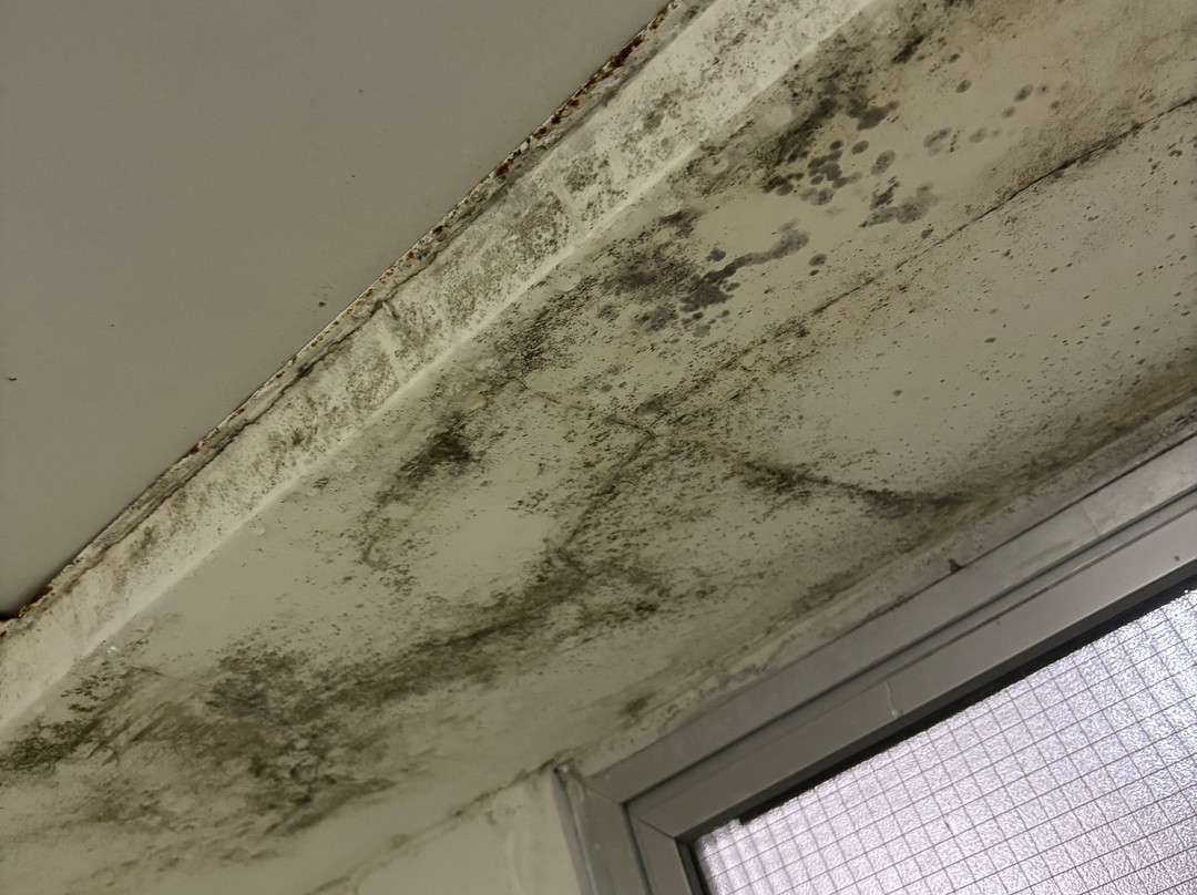 Minaides Hotel主图