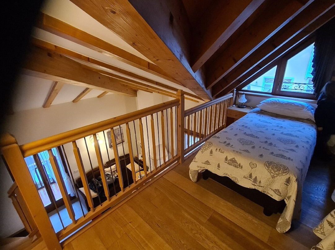 Alexander Hotel Alpine Wellness Dolomites主图