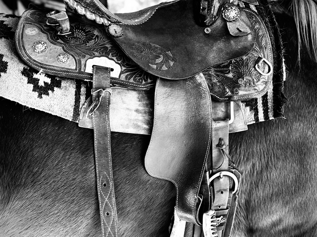 Blisswood Bed And Breakfast Ranch主图