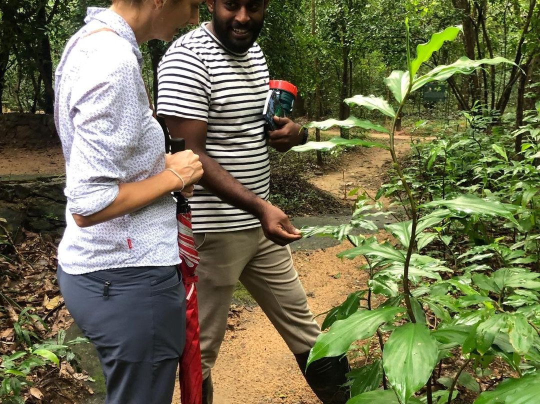 Popham's Arboretum-丹布拉必去景点