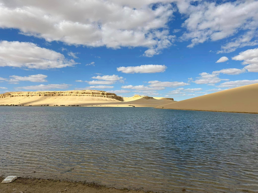 Wadi El-Rayan-法尤姆必去景点