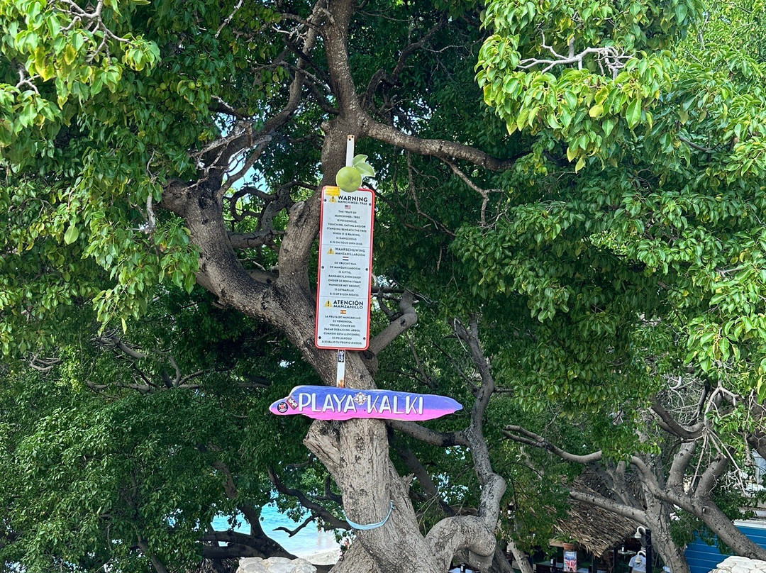 Playa Kalki-库拉索必去景点