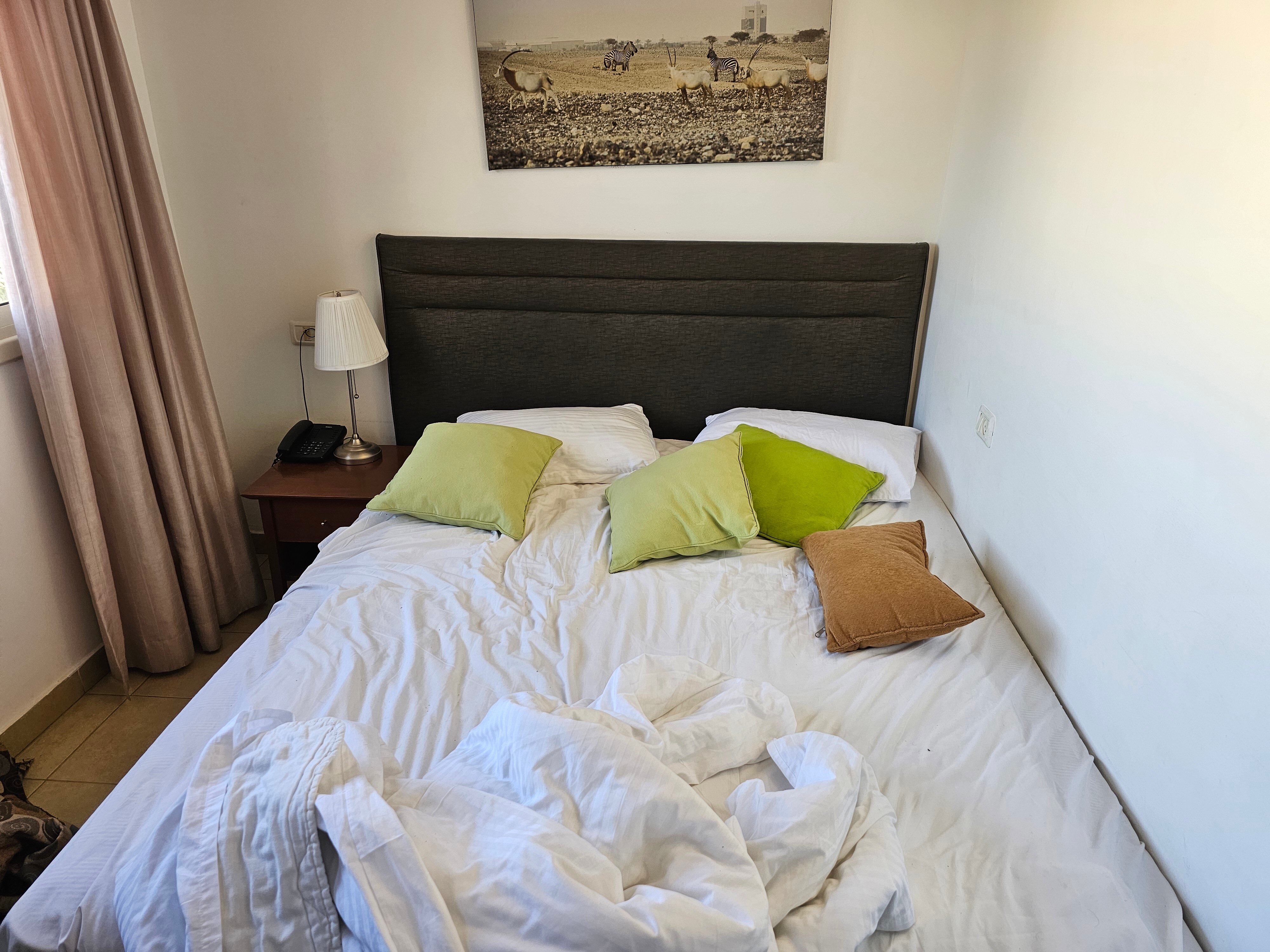 Ramon Suites Hotel-客卧