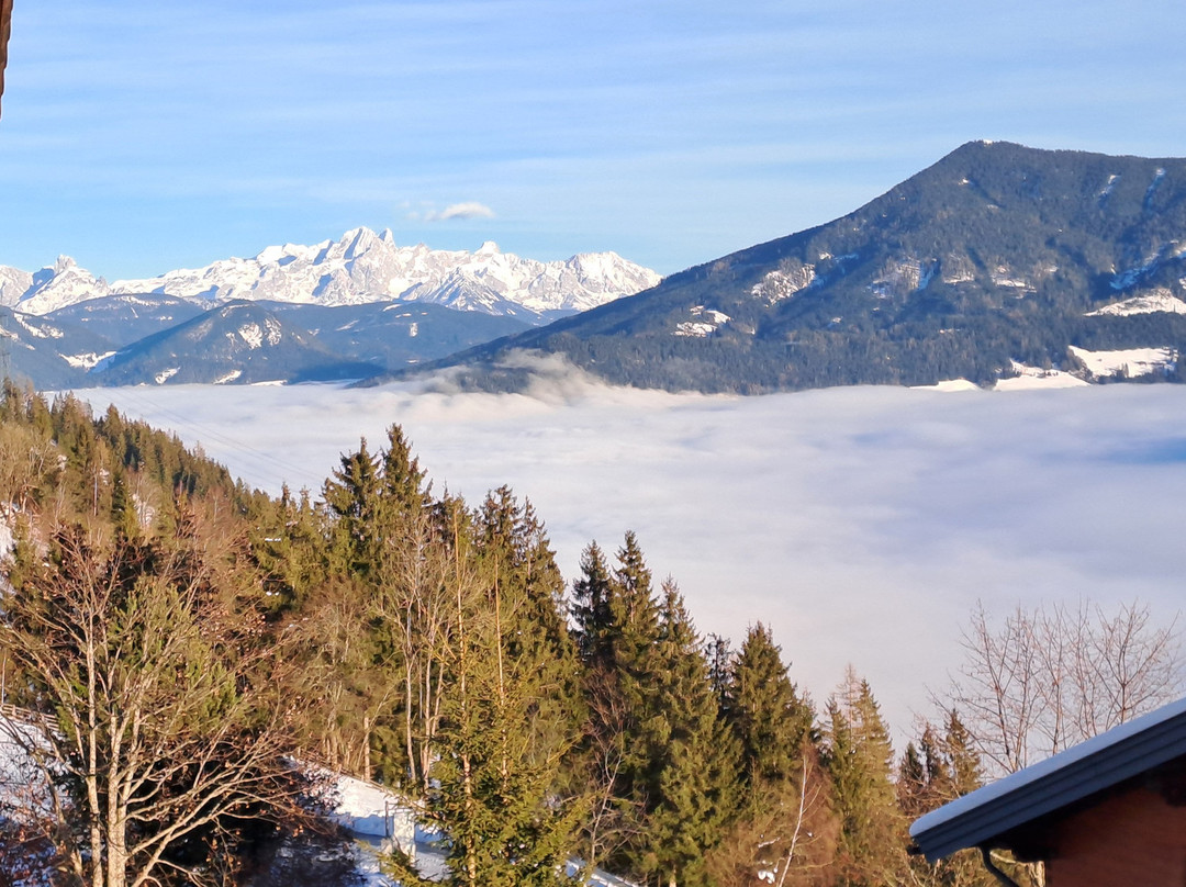 Alpen-Pension Rostatt主图