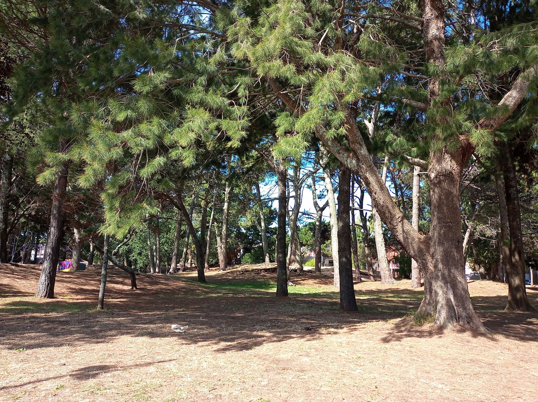Plaza Del Bosque-San Bernardo必去景点
