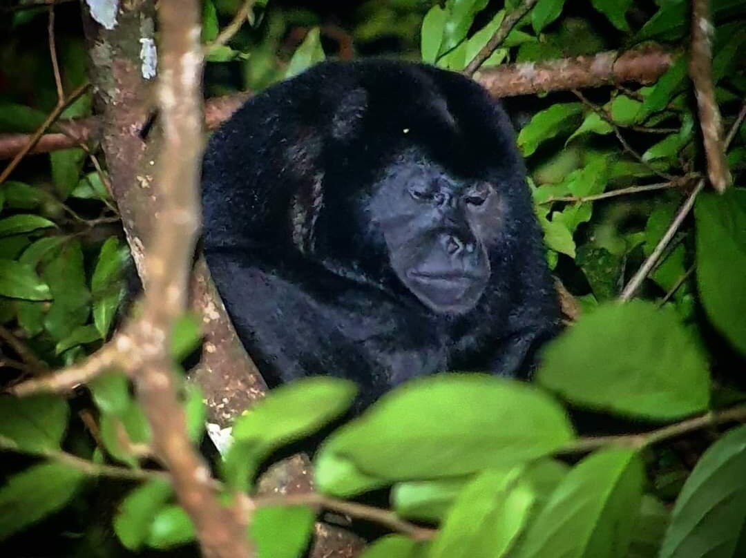 Johnny Loves Nature Eco Tours-蒙特沃德必去景点